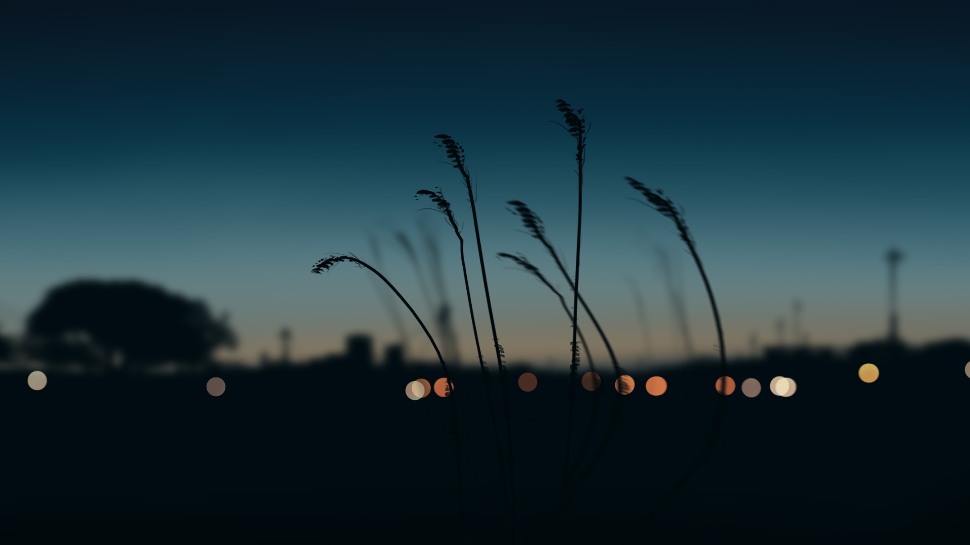 BurpSuite 验证码识别