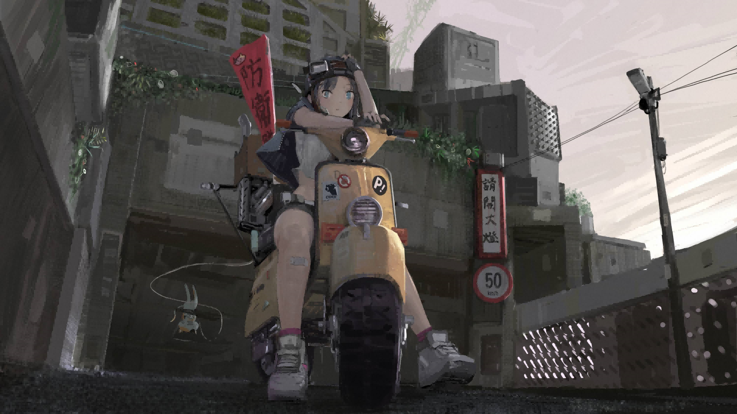 cover