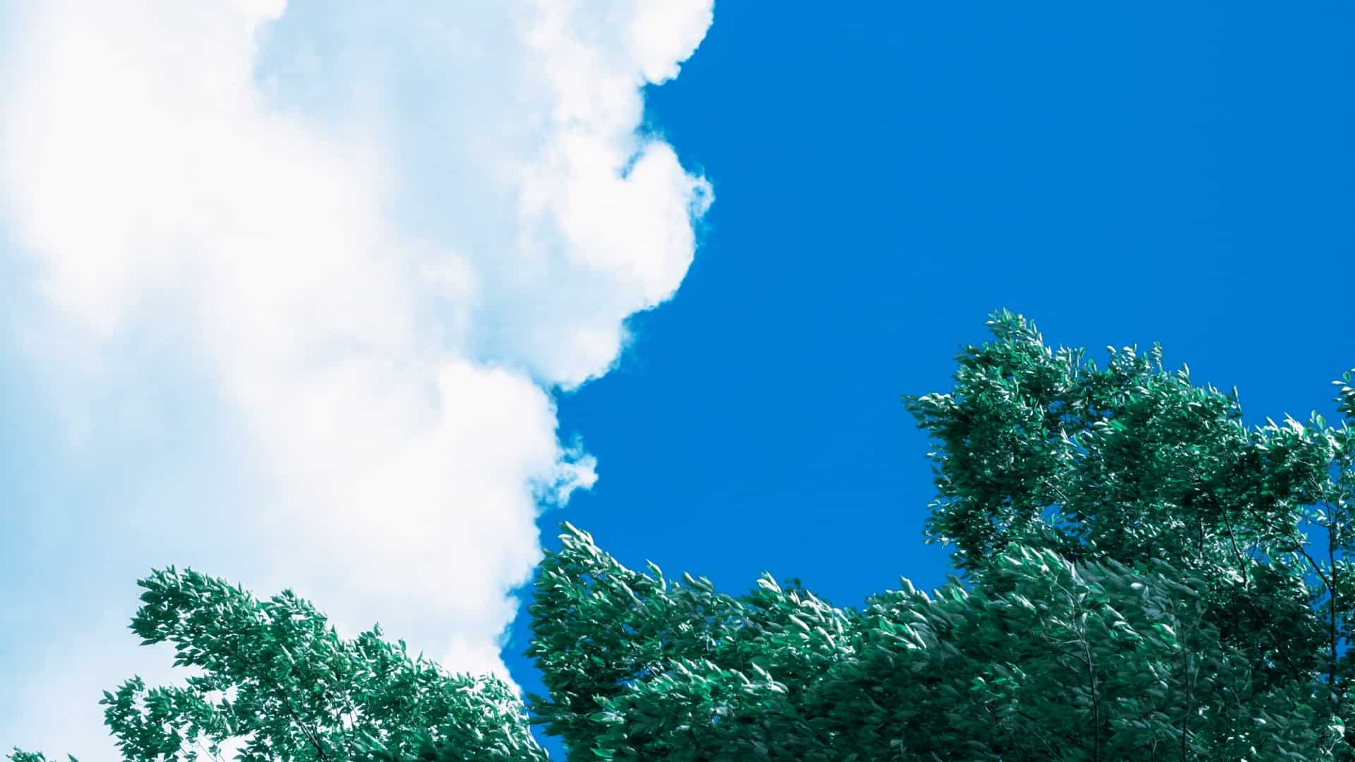 Gaara